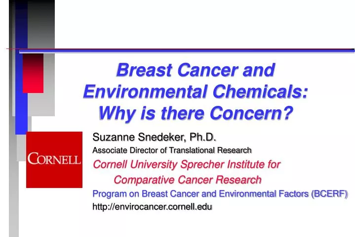 breast cancer and environmental chemicals why is there concern