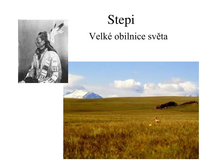 stepi