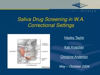 Saliva Drug Screening in W.A. Correctional Settings