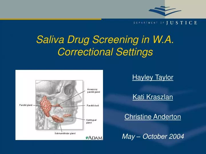 saliva drug screening in w a correctional settings