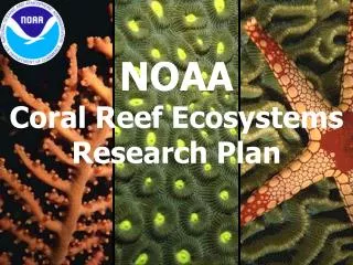 NOAA Coral Reef Ecosystems Research Plan