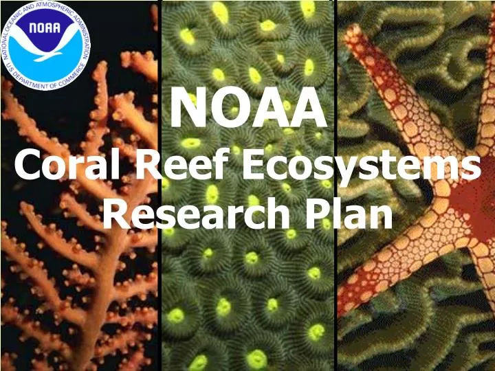 noaa coral reef ecosystems research plan