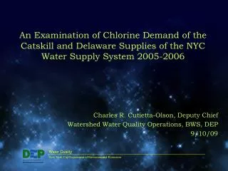 An Examination of Chlorine Demand of the Catskill and Delaware Supplies of the NYC Water Supply System 2005-2006