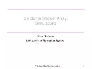 Saltdome Shower Array: Simulations