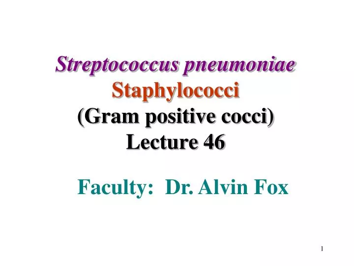 streptococcus pneumoniae staphylococci gram positive cocci lecture 46