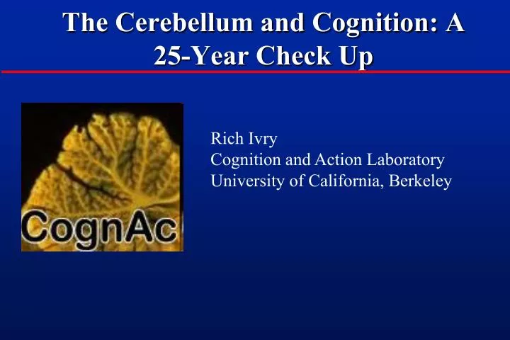 the cerebellum and cognition a 25 year check up