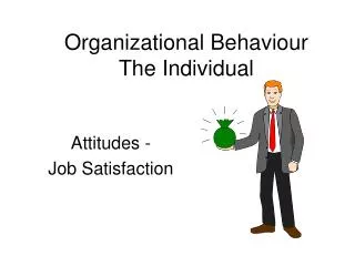 Organizational Behaviour The Individual