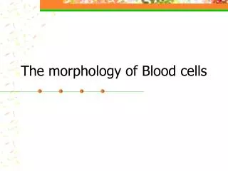 The morphology of Blood cells
