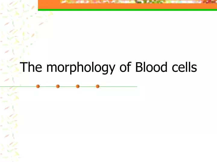 the morphology of blood cells