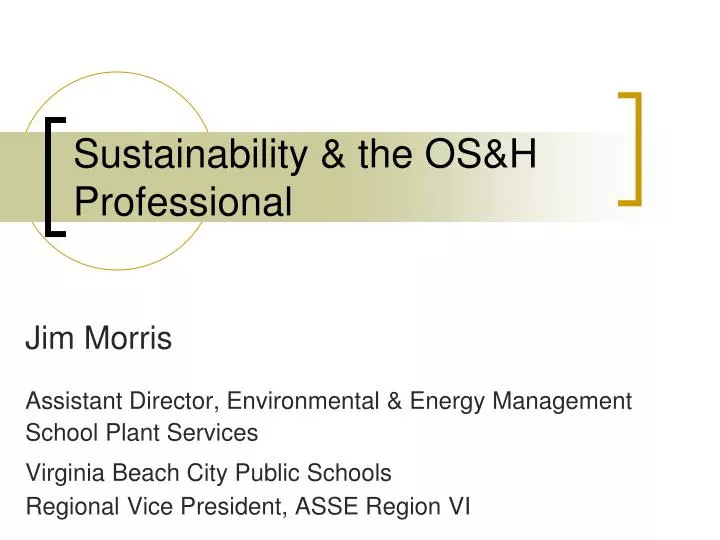 sustainability the os h professional