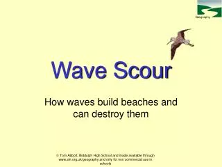 Wave Scour