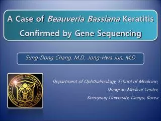 A Case of Beauveria Bassiana Keratitis Confirmed by Gene Sequencing