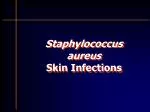 Staphylococcus aureus Skin Infections