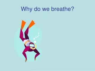 Why do we breathe?