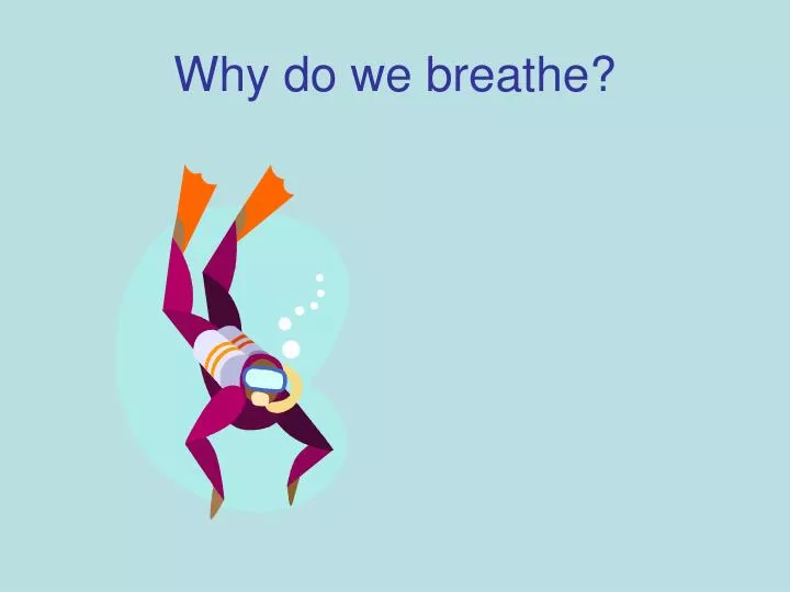 why do we breathe