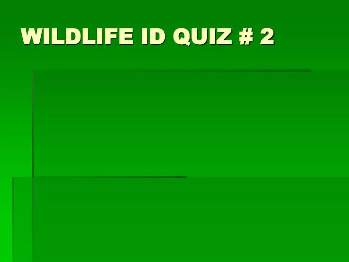 wildlife id quiz 2
