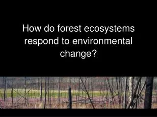 How do forest ecosystems respond to environmental change?