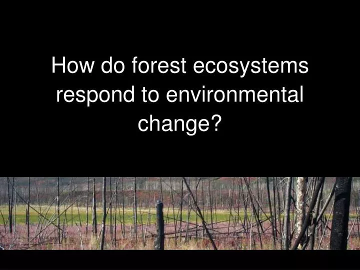 how do forest ecosystems respond to environmental change