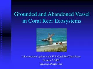 Grounded and Abandoned Vessel in Coral Reef Ecosystems