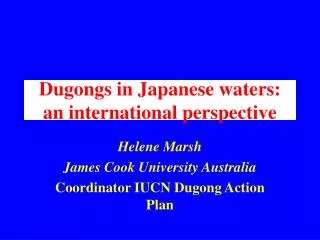 Dugongs in Japanese waters: an international perspective