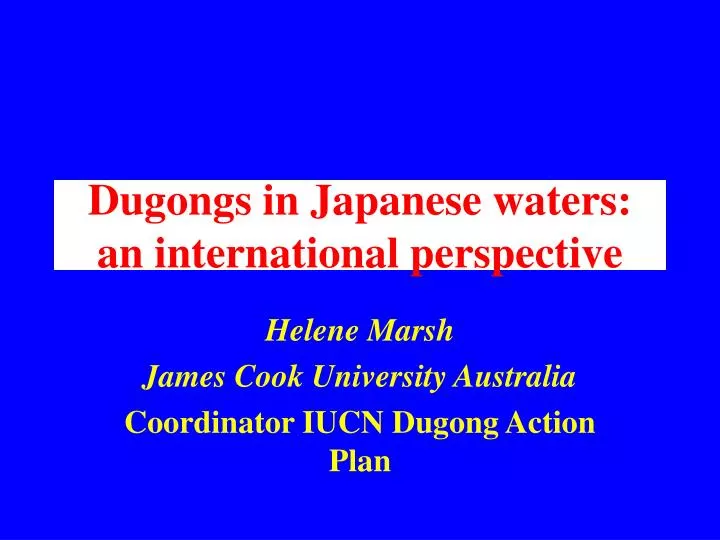 dugongs in japanese waters an international perspective