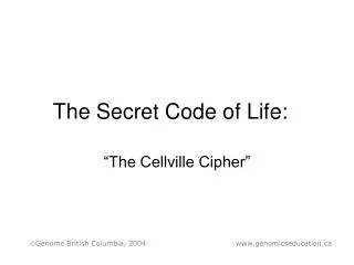 The Secret Code of Life: