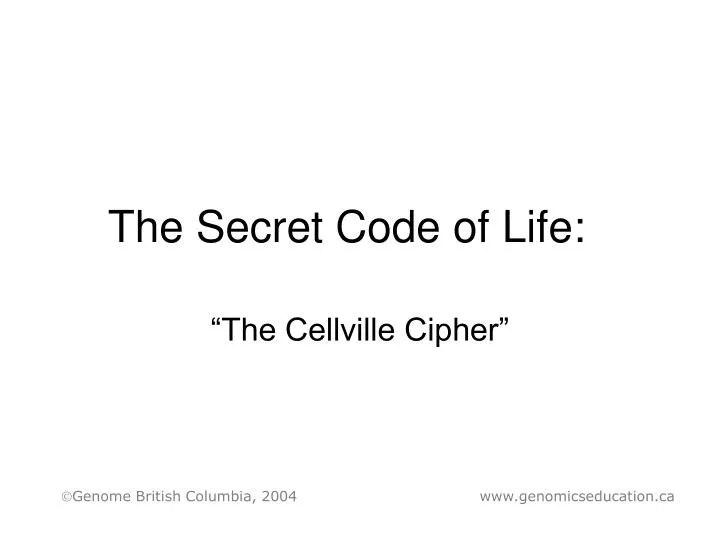 the secret code of life