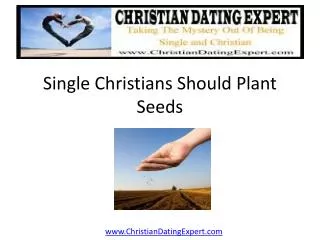 Single Christians Should Plant Seeds