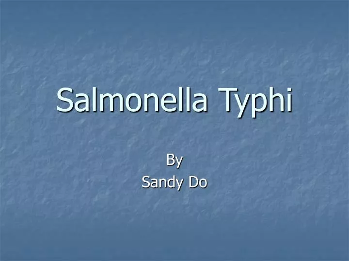 salmonella typhi