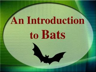 An Introduction to Bats