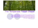 The Temperate Forest Biome - slide 1