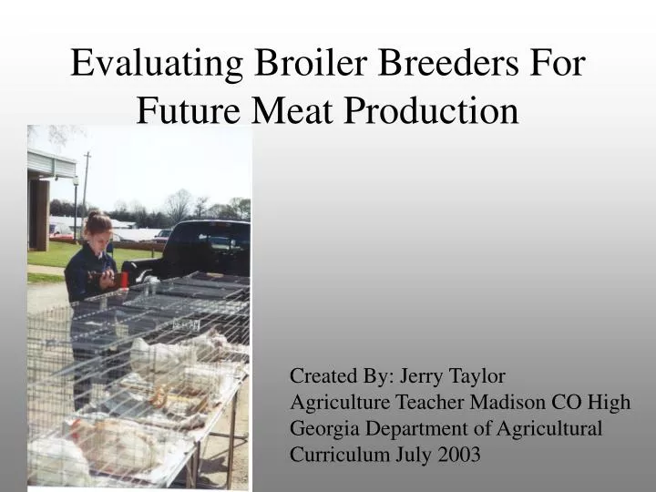evaluating broiler breeders for future meat production