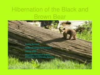 Hibernation of the Black and Brown Bear