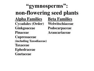 “gymnosperms”: non-flowering seed plants