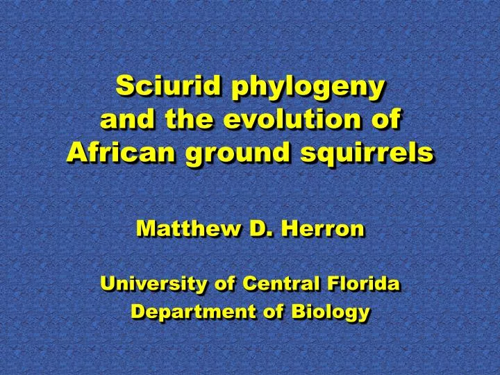sciurid phylogeny and the evolution of african ground squirrels