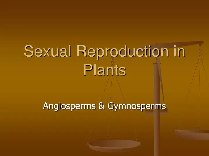 sexual reproduction in plants