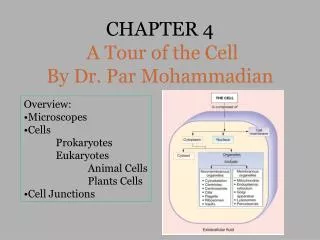 CHAPTER 4 A Tour of the Cell By Dr. Par Mohammadian