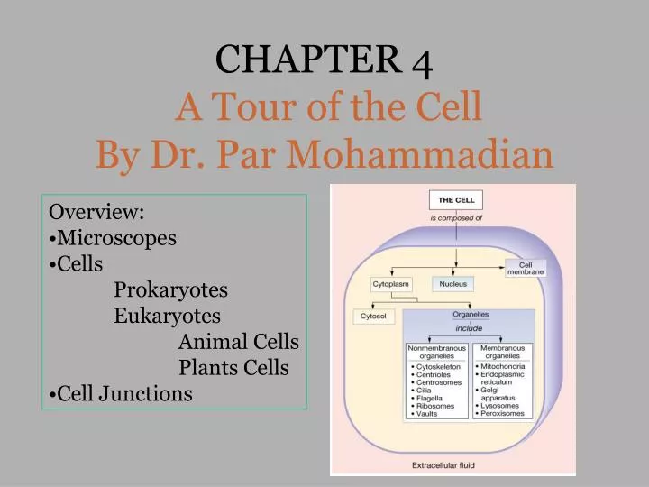 chapter 4 a tour of the cell by dr par mohammadian