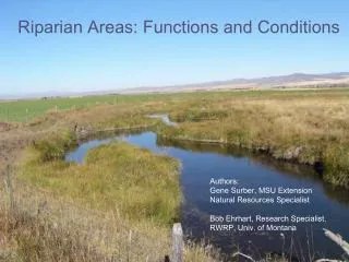 Riparian Areas: Functions and Conditions