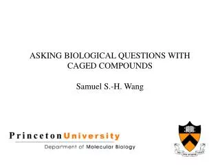 ASKING BIOLOGICAL QUESTIONS WITH CAGED COMPOUNDS Samuel S.-H. Wang
