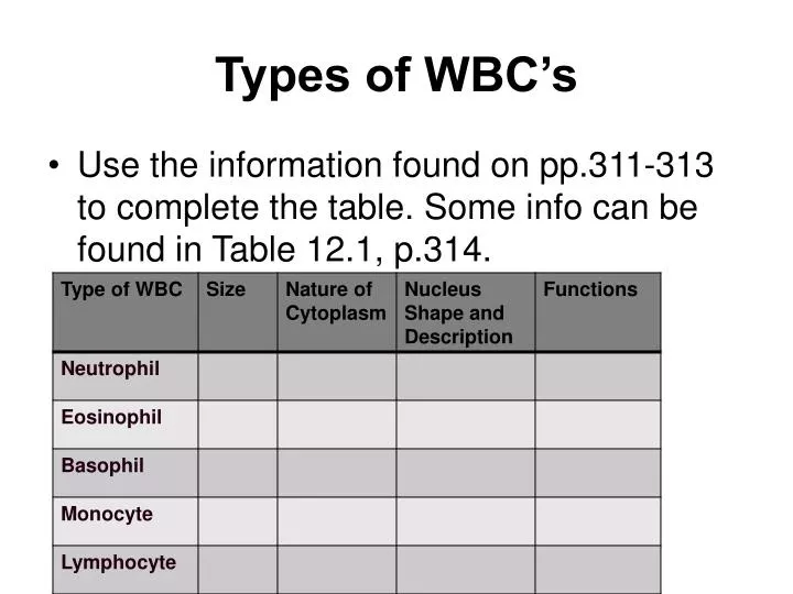 types of wbc s