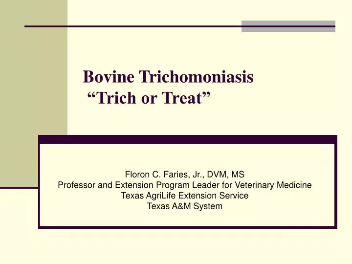 bovine trichomoniasis trich or treat