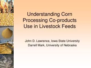 Understanding Corn Processing Co-products Use in Livestock Feeds
