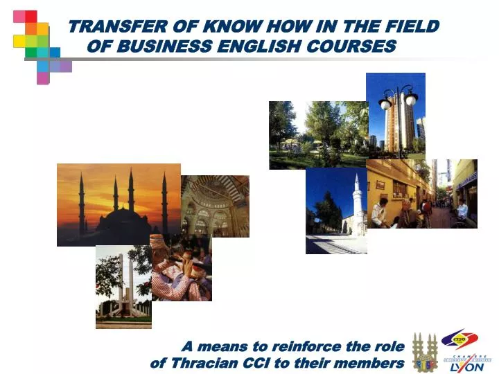 transfer of know how in the field of business english courses