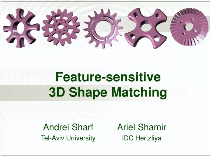 feature sensitive 3d shape matching