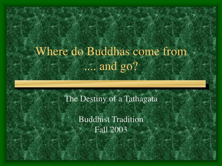 where do buddhas come from and go