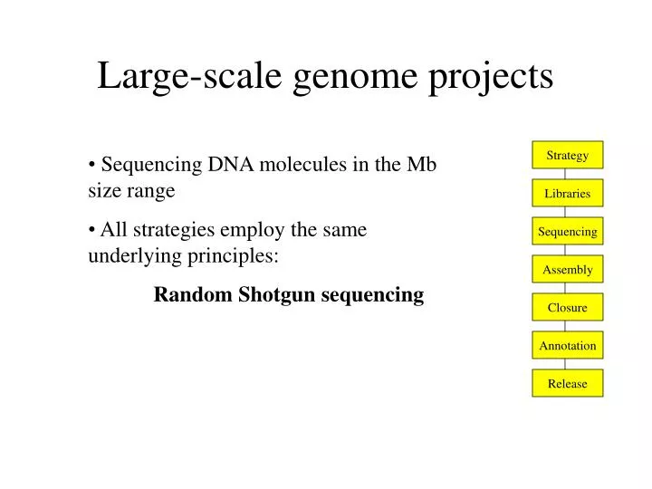 large scale genome projects