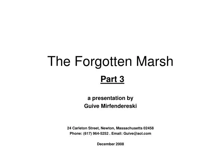 the forgotten marsh part 3