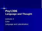 Psy1306 Language and Thought - slide 1