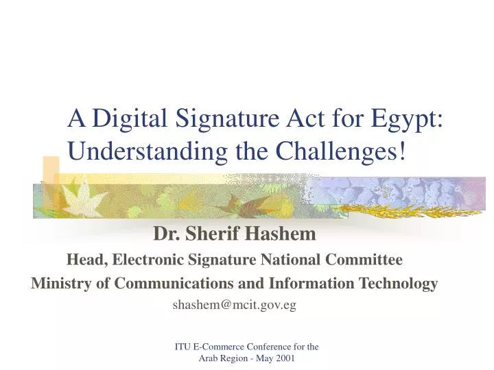 a digital signature act for egypt understanding the challenges